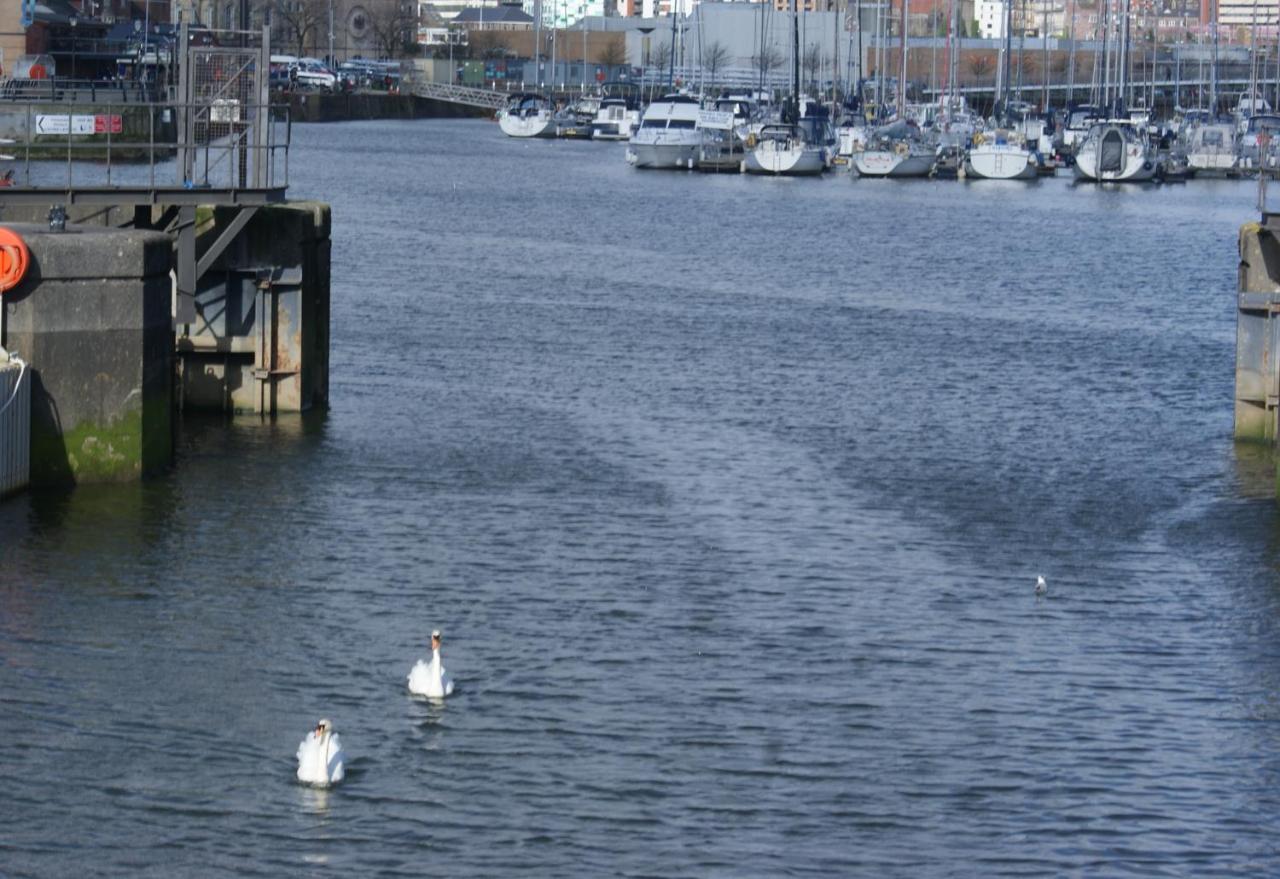 Coastal City Rooms - Waterfront Swansea Exterior foto